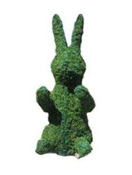 Bunny Sitting Upright Moss Topiary 24 inch Tall